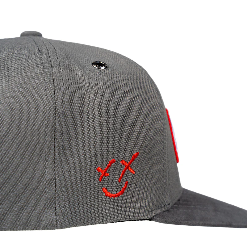 FOXED® STILLGELEGT SNAPBACK GREY - Image 4